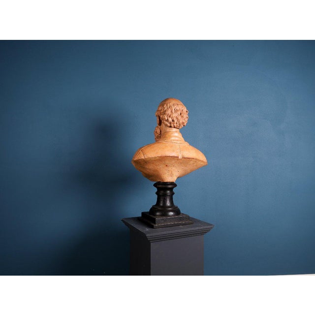 Unknown, Italian School, Bust of Andrea Palladio, 19th Century, Terracotta For Sale - Image 3 of 6