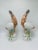 This is a pair of decorative porcelain bird figurines. They appear to depict crested pheasants or exotic game birds,...