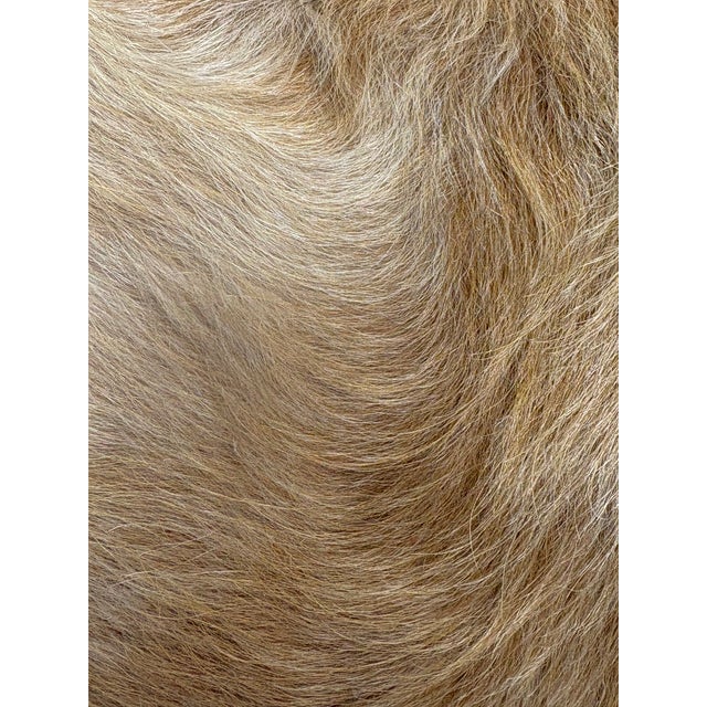 Animal Skin 18” X 18” Premium Colombian Champagne Long-Haired Cowhide Pillow Cover - Handcrafted by Pablo Sota Designs For Sale - Image 7 of 11
