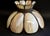 Antique American Bisque Ceiling Light Lamp Shade Glass Victorian Excellent For Sale - Image 9 of 17