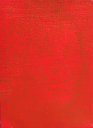 Peter Mayer, Jocelyn Wildenstein (Red/Red), Acrylic and Silkcreen on Canvas