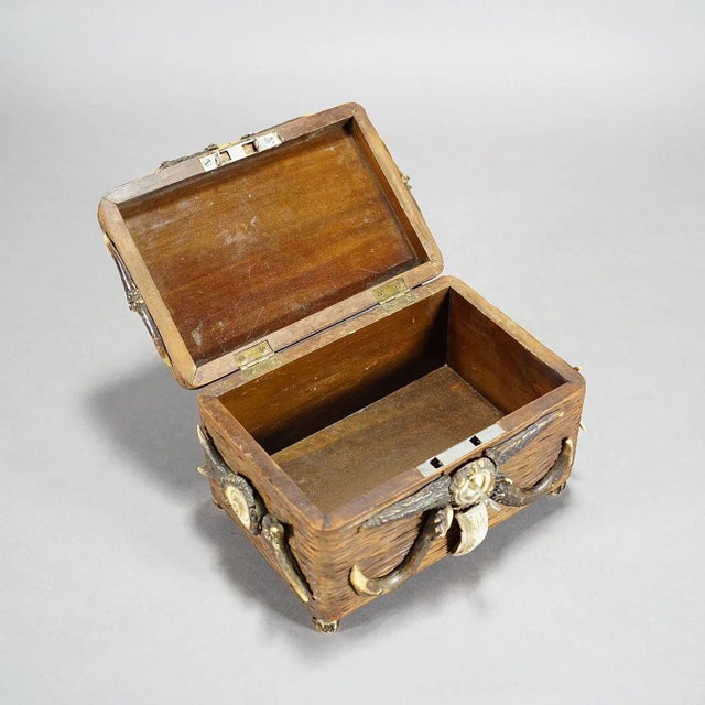 Wood Wooden Black Forest Casket With Antlers Decoration Circa 1900s For Sale - Image 7 of 8