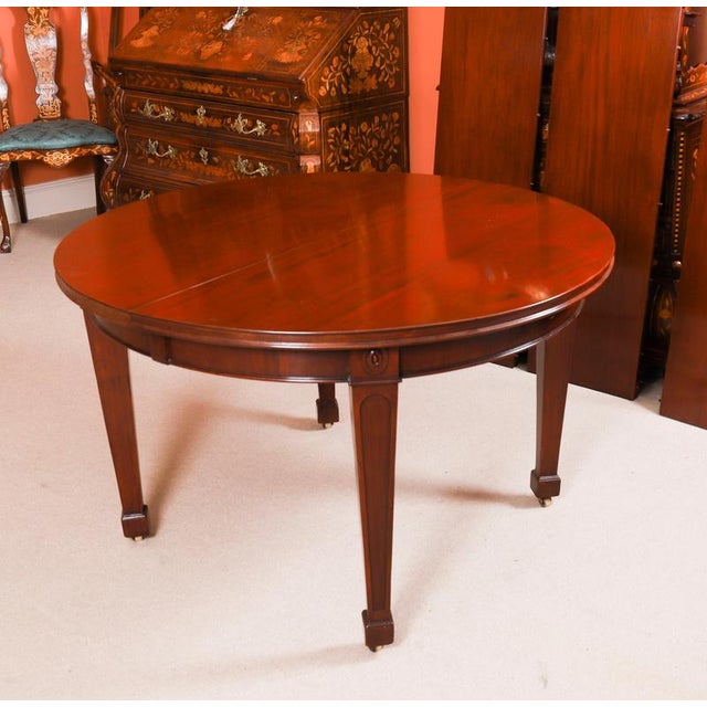 Wood Antique 19th Century Oval Extending Dining Table and Regency Dining Chairs, Set of 9 For Sale - Image 7 of 15