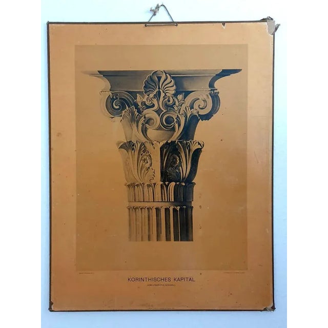 Collotype print, photographic reproduction Seemann’s wall pictures No. 6 Corinthian capital From the Lysicrates Monument...