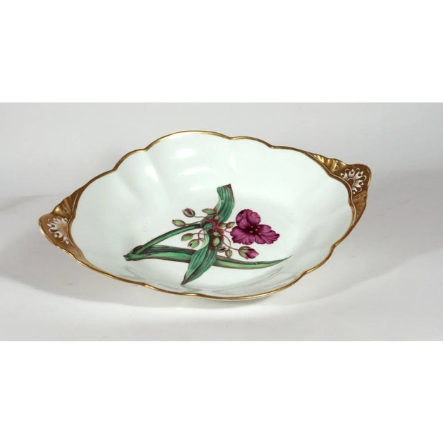 Spode Spode Porcelain Botanical Specimen Dish With a Spiderwort Plant After William Curtis For Sale - Image 4 of 6