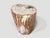 Andrianna Shamaris Coral Toned High Quality Petrified Wood Side Table For Sale - Image 10 of 18