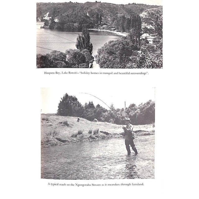 "Rotorua Trout the Fishing Lakes, Rivers and Streams of the Rotorua Conservancy, New Zealand" 1960 Gee, Frank For Sale - Image 11 of 11