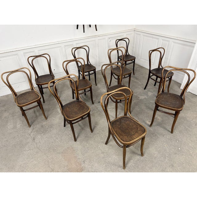 1920s Bistro Chairs from Thonet, 1920, Set of 12 For Sale - Image 5 of 9