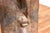 Antique Harned Guardian Bwa Painted Mask For Sale - Image 12 of 13