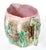 English Antique Shells & Seaweed 19th C Etruscan Majolica Pitcher 7" Tall C1890s For Sale - Image 3 of 7