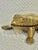 Figurative Vintage Cast Brass Frog Hinged Lidded Trinket Box For Sale - Image 3 of 8