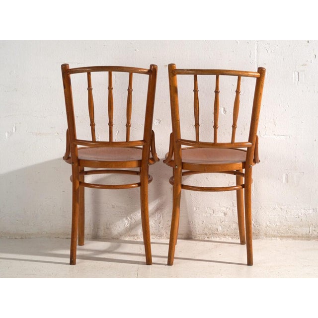 Bentwood Chairs in the style of Thonet, Central Europe, 1930, Set of 4 For Sale - Image 18 of 18