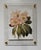 Pink and Cream Flowers - Hand Textured Pink Flowers For Sale - Image 10 of 10