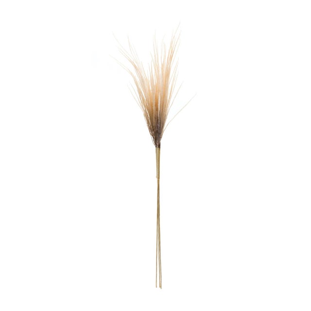 Bring the outdoors in with the Grass Plume Bundles! These stunning faux stems feature a natural blend of brown and beige...