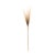 Bring the outdoors in with the Grass Plume Bundles! These stunning faux stems feature a natural blend of brown and beige...