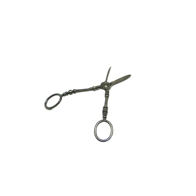 Art Nouveau Danish Scissors for Grapes, 1920s For Sale - Image 13 of 15