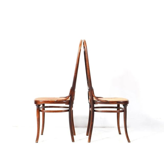 Set of Art Nouveau Model 17 High Back Chairs in Beech by Michael Thonet for Gebrüder Thonet Vienna Gmbh, 1890s For Sale - Image 5 of 9