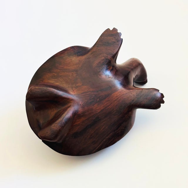 Vintage Ironwood Turtle For Sale - Image 11 of 11