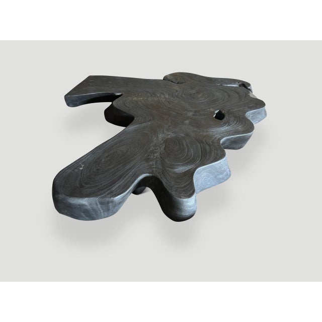 Black Andrianna Shamaris Amorphous Charred Suar Wood Coffee Table For Sale - Image 8 of 18