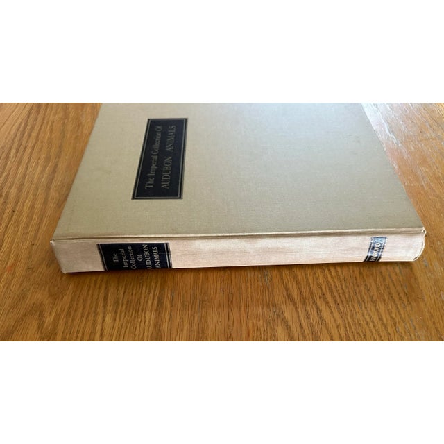 Paper Vintage Audubon Animal Book For Sale - Image 7 of 7