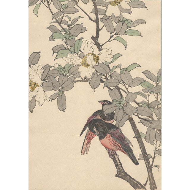 A wonderful large woodblock print from 1892 by imao keinen (今尾 景年), representing two alpine accentors (ブンキチョウ) among...