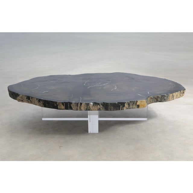Black Petrified Wood Coffee Table by Xyleia Petrified Wood For Sale - Image 11 of 11