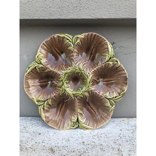 19th-century Majolica chocolate oyster plate with green seaweeds Luneville. Reference: Page 43 "Oyster plates" of J....