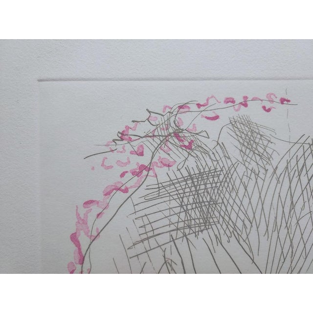 Contemporary Joan Hernandez Pijuan, PL1, 1982, Engraving For Sale - Image 3 of 5