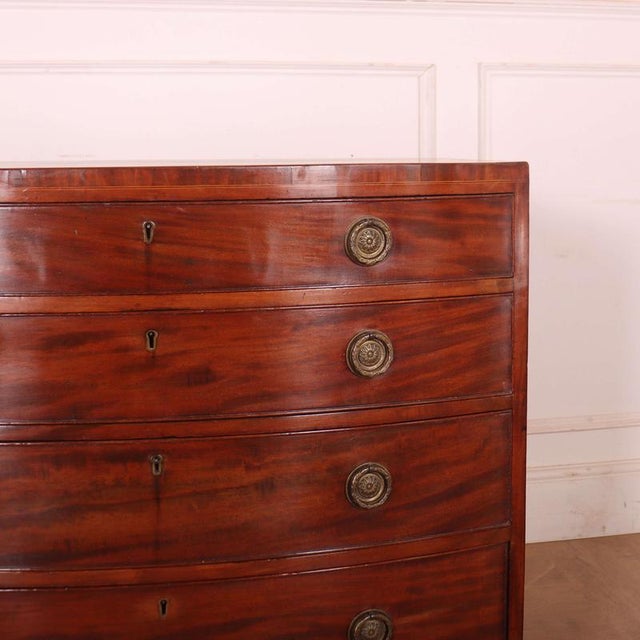 English Bowfront Chest of Drawers For Sale - Image 4 of 10