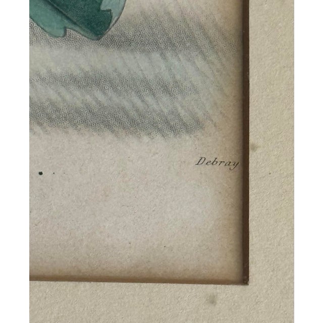 French 1860 French Botanical Lithograph ‘Fraise Octave’ – Hand Colored Strawberry Plate For Sale - Image 3 of 9