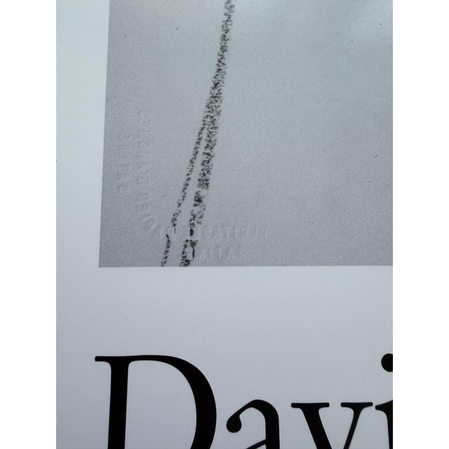Black and White Dogs Exhibition Poster by David Hockney, UK, 1994 For Sale - Image 4 of 12