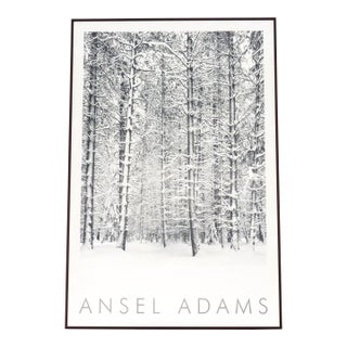 1932 Ansel Adams Pine Forest in Snow Yosemite National Park Photograph Art Print For Sale