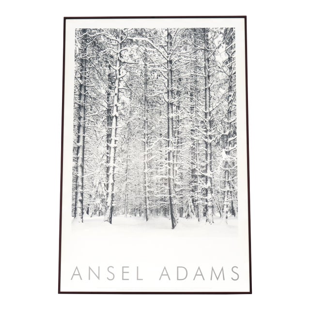 1932 Ansel Adams Pine Forest in Snow Yosemite National Park Photograph Art Print For Sale