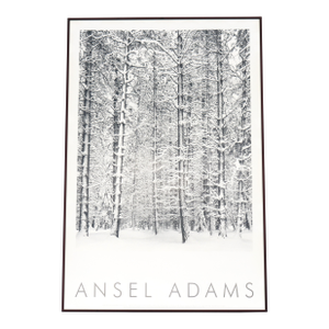 1932 Ansel Adams Pine Forest in Snow Yosemite National Park Photograph Art Print