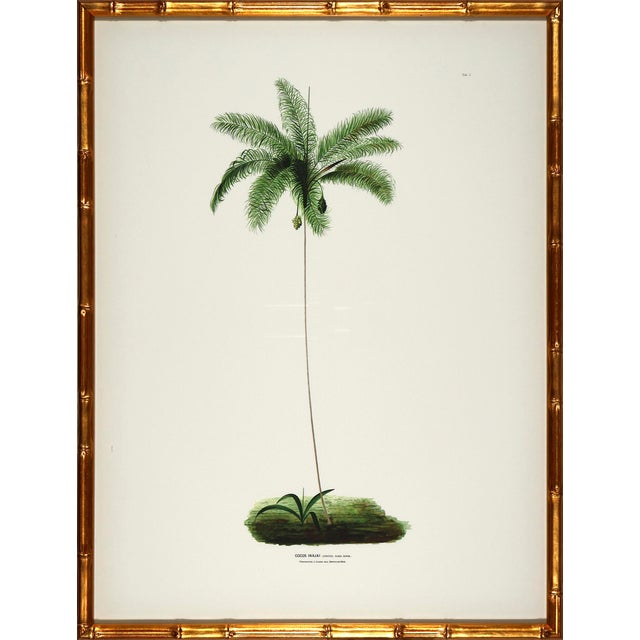 Set of 6 Palm Trees in Bamboo Moulding For Sale In Atlanta - Image 6 of 8