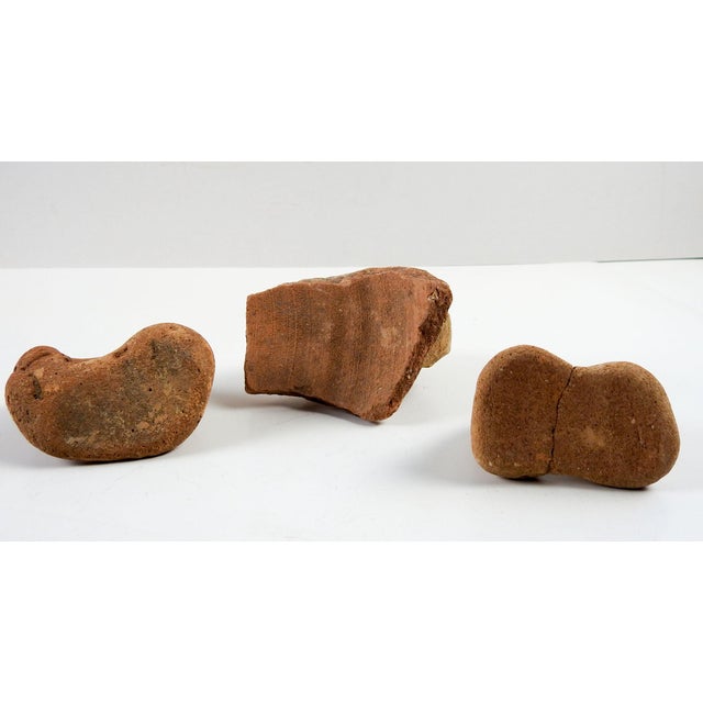 Ancient Mediterranean Pottery Amphora Fragment Handles Set of 3 For Sale - Image 4 of 4