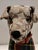 Coach Vintage Coach Leather Signature Stuffed Collectible Khaki Display Dog For Sale - Image 4 of 12