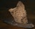 Rock Large Sculpture in Jurassic Natural Rock by Nerinea For Sale - Image 9 of 11
