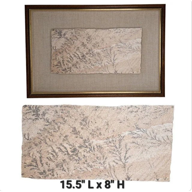 SKU: OT 2484 Large 15.5" x 8" Manganese Oxide Dendrite Slab on Gypsum Matted Framed Rare This spectacular manganese oxide...