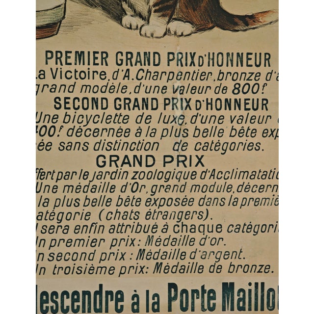 Original Cat Expo Lithographic Poster by Auguste Roedel, 1896 For Sale - Image 6 of 9