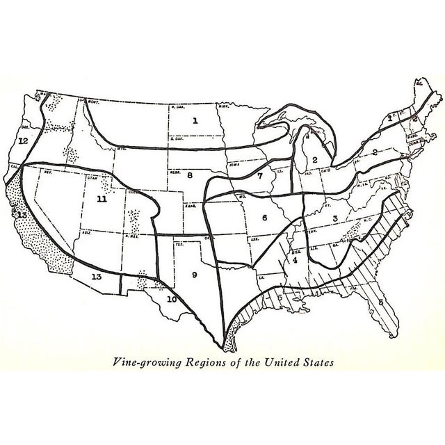 "American Wines and How to Make Them" 1933 Wagner, Philip M. For Sale - Image 4 of 6