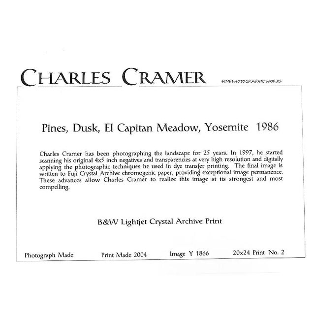 Realism "Pines, Dusk, El Capitan Meadow, Yosemite 1986" Landscape Photograph Print Numbered 2/100 by Charles Cramer For Sale - Image 3 of 3