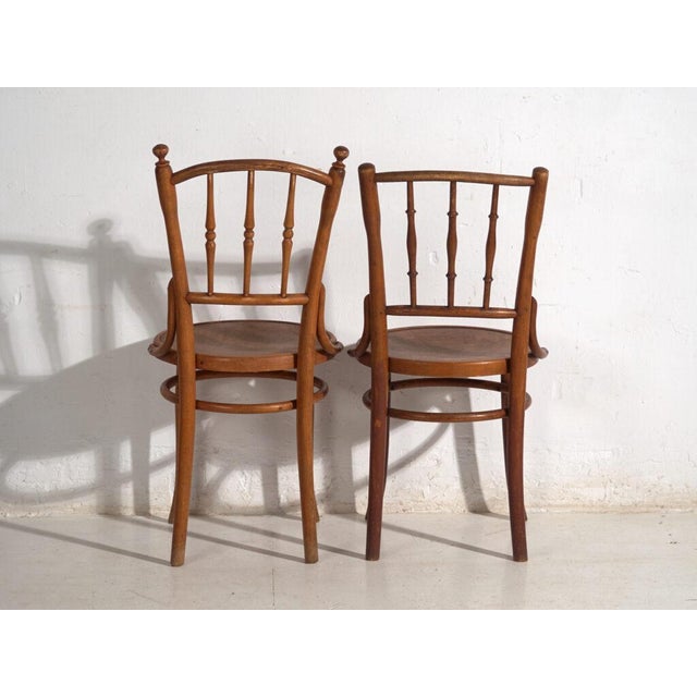Antique Bentwood Chairs, Central Europe, 1900s, Set of 4 For Sale - Image 10 of 13