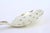 Silver Olive Spoon with Grooves For Sale - Image 3 of 7