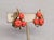 Mid-Century Modern Vintage 1950s Signed Crown Trifari Goldtone Faux-Coral Melon Rhinestone Clip Earrings-2 Pieces For Sale - Image 3 of 8