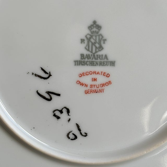 Early-20th Century Tirschenreuth Bavaria Decorative Porcelain Plate For Sale - Image 9 of 10