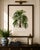 Vintage Palm Tree Illustration, Botanical Art Print Reproduction by Denterghem, 24" X 36" For Sale - Image 4 of 10