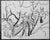 Forest drawing by Vermont artist Frank Wallace (1915/18-2003). Wallace was born in Toledo, Ohio and grew ip in...