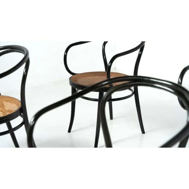 Wood Bentwood Chairs from Thonet, Austria, 1920s, Set of 6 For Sale - Image 7 of 15
