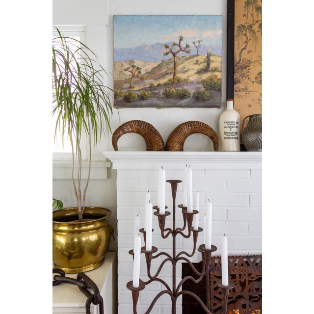 Pair of Natural Taxidermy Waxed Ram Horns For Sale - Image 4 of 10